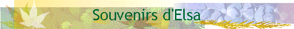 Souvenirs d'Elsa
