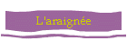 L'araignée