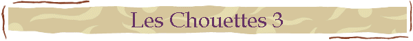 Les Chouettes 3