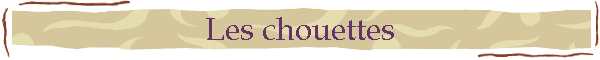 Les chouettes